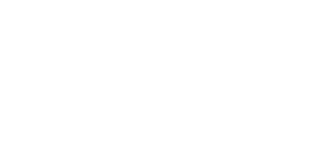 Kizat